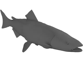 Salmon 3D Model preview