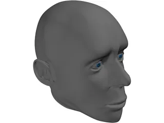 Head Male 3D Model preview