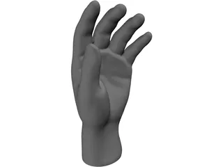 Hand 3D Model preview