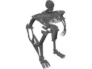 Warrior Skeleton 3D Model preview