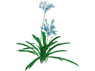 Agapanthus 3D Model preview