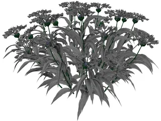 Centaurea Montana 3D Model preview