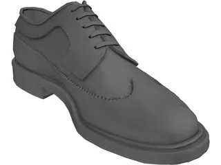 Shoe 3D Model preview