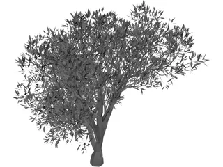 Olive Tree 3D Model preview