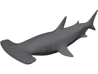Shark 3D Model preview