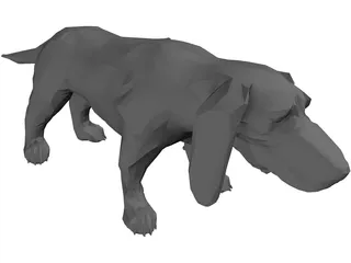 Dog Basset 3D Model preview