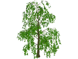 Tree 3D Model preview