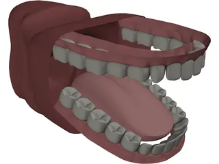 Mouth 3D Model preview
