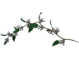 Wine Plant 3D Model preview