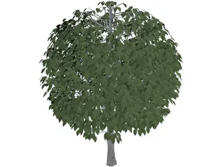 Tree 3D Model preview
