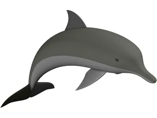 Dolphin 3D Model preview