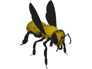 Bee with Fur 3D Model preview
