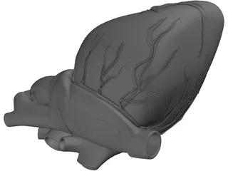 Heart Human 3D Model preview
