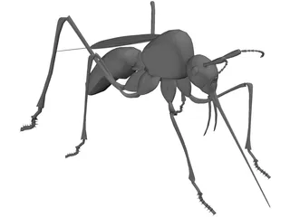 Mosquito 3D Model preview