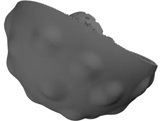 Animal Cell 3D Model preview