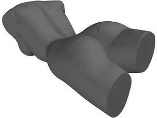 Female Torso 3D Model preview