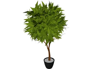 Ash Tree 3D Model preview
