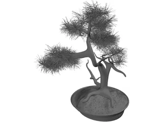 Bonsai Tree 3D Model preview