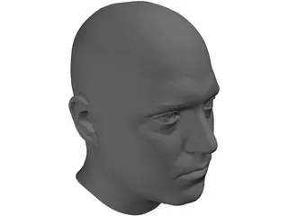 Human Male Scanned Head 3D Model preview