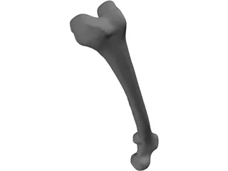 Femur Bone 3D Model preview