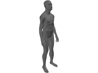 Man Human 3D Model preview