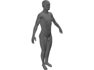Man 3D Model preview