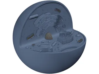 Animal Cell Structure 3D Model preview
