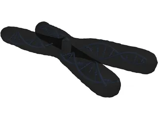 Human Chromosome 3D Model preview
