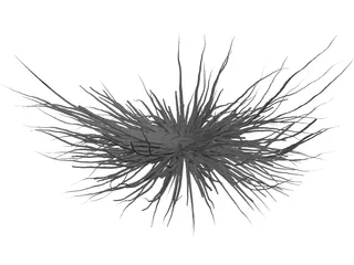 Bacteria 3D Model preview