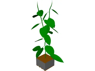 Bell Pepper Plant 3D Model preview