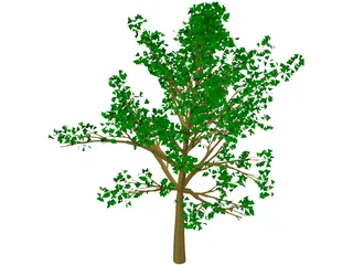 Tree 3D Model preview
