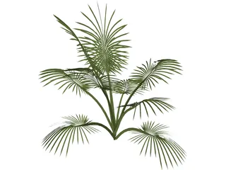 Tree 3D Model preview