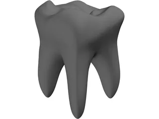 Tooth 3D Model preview