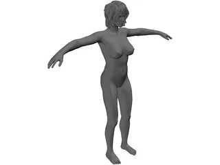 Female Anatomy Complete 3D Model preview