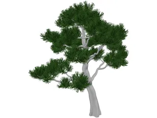 Pine Tree 3D Model preview