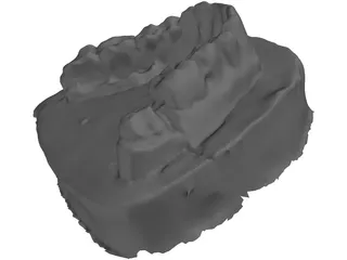 Teeth Stamp 3D Model preview