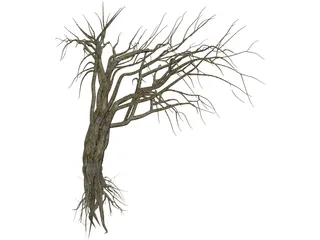 Dry Old Tree 3D Model preview