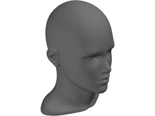 Human Head and Neck 3D Model preview