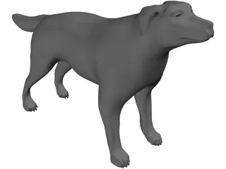 Dog 3D Model preview