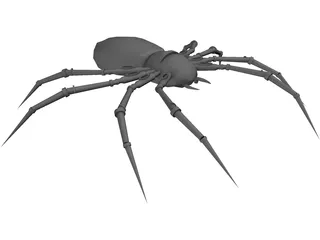 Poison Spider 3D Model preview