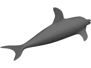 Dolphin 3D Model preview