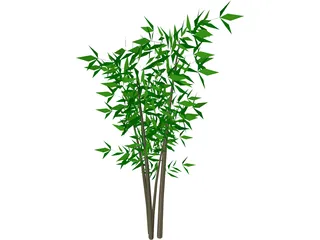 Bamboo Tree 3D Model preview