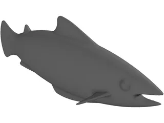 Salmon 3D Model preview