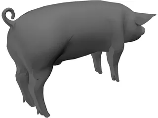 Pig 3D Model preview