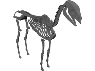 Horse Skeleton 3D Model preview