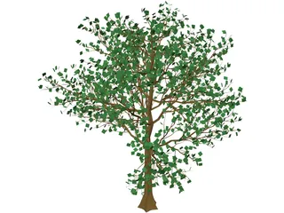 Arboli Tree 3D Model preview