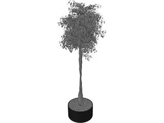 Arbol Tree 3D Model preview