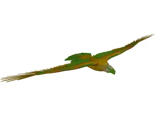 Eagle [Animated] 3D Model preview