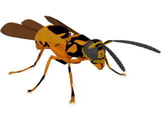 Wasp 3D Model preview