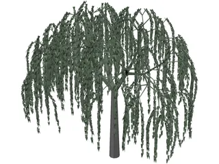 Willow Tree 3D Model preview